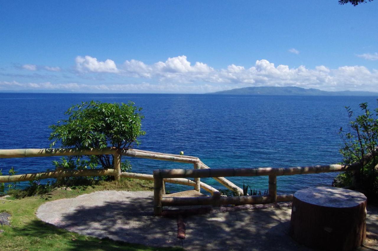 Almira Diving Resort- パングラオ エクステリア 写真